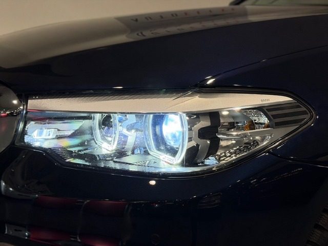 BMW 530 usata, con Vetri oscurati