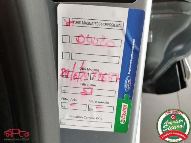 FORD Puma usata, con Vetri oscurati