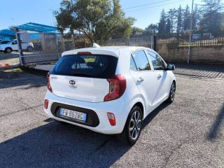 KIA Picanto usata 4