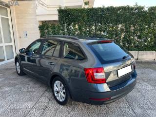 SKODA Octavia usata 5