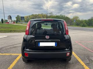 FIAT Panda usata, con Alzacristalli elettrici