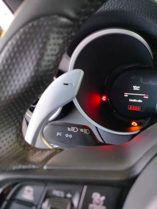 ALFA ROMEO Stelvio usata 31