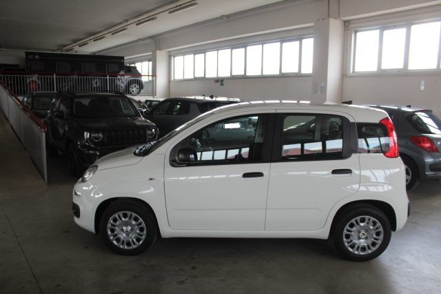 FIAT Panda usata, con Airbag laterali