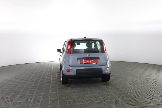 FIAT Panda usata 4