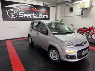 FIAT Panda usata 11
