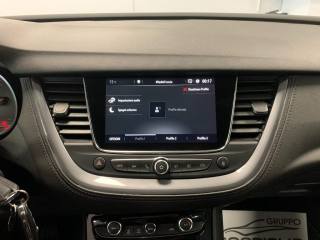 OPEL Grandland X usata, con Portapacchi