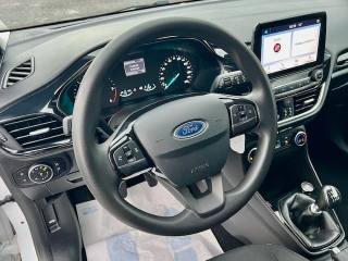 FORD Fiesta usata 15