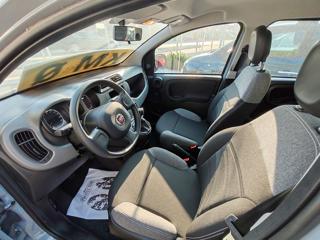 FIAT Panda usata, con Antifurto