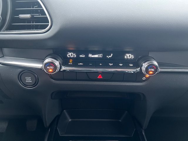 MAZDA CX-30 usata, con Cruise Control