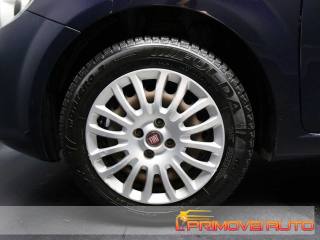 FIAT Punto usata 19