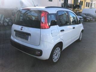 FIAT Panda usata, con Immobilizzatore elettronico
