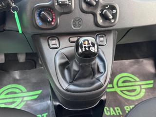 FIAT Panda usata 12