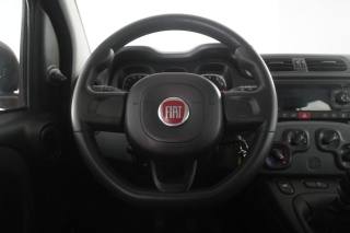 FIAT Panda usata 5