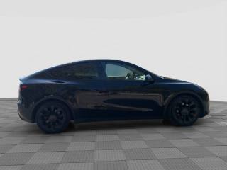 TESLA Model Y usata 5