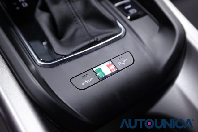 ALFA ROMEO Tonale usata, con Bracciolo