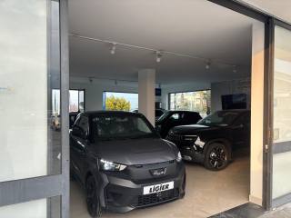 LIGIER JS usata, con Alzacristalli elettrici