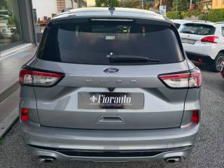 FORD Kuga usata, con Airbag Passeggero
