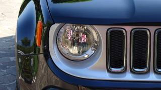 JEEP Renegade usata, con Autoradio digitale
