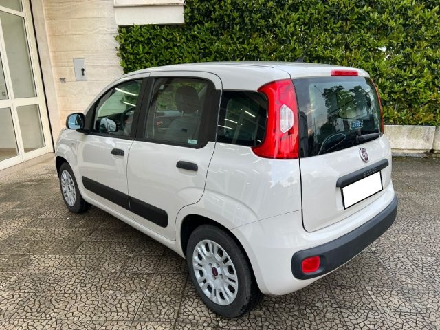 FIAT Panda usata 6