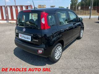 FIAT Panda usata, con Airbag laterali