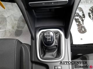 RENAULT Megane usata, con Fendinebbia