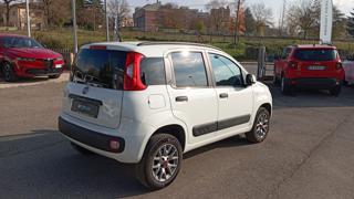 FIAT Panda usata, con Volante multifunzione