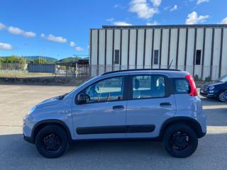FIAT Panda usata 22