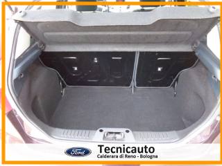 FORD Fiesta usata, con Specchietti laterali elettrici
