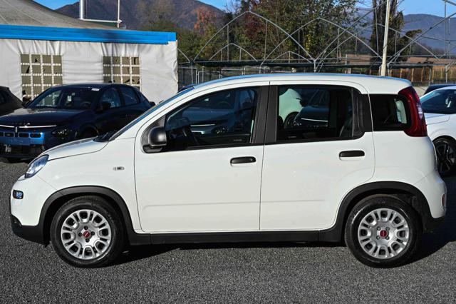 FIAT Panda usata, con Controllo trazione
