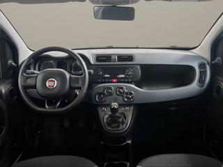 FIAT Panda usata, con USB