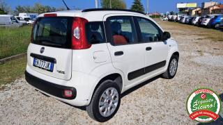 FIAT Panda usata, con Airbag
