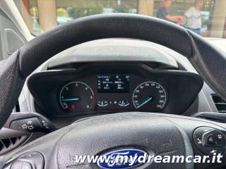 FORD Transit Connect usata, con Autoradio digitale