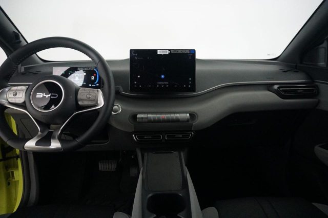 BYD Dolphin Surf usata, con Cruise Control