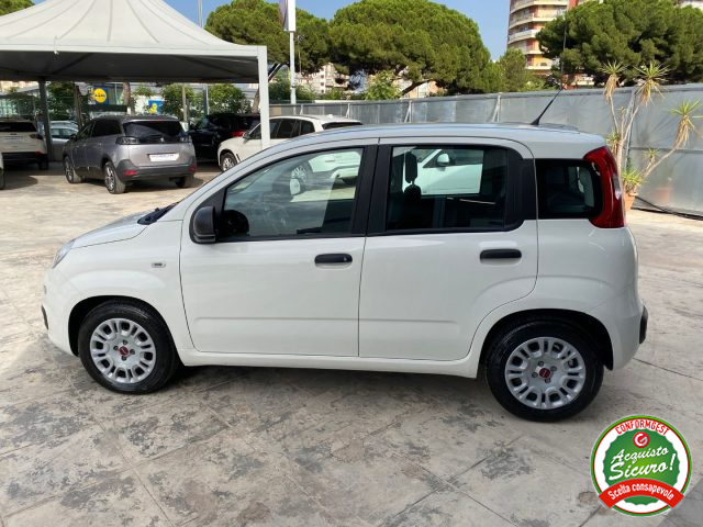 FIAT Panda usata, con Climatizzatore