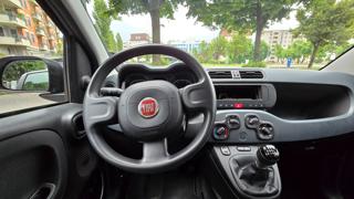 FIAT Panda usata 15