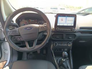 FORD EcoSport usata, con Fendinebbia