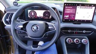 SKODA Kodiaq usata, con Interni in pelle