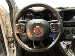 FIAT Panda usata 15