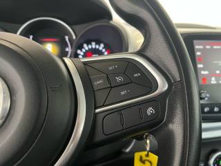 FIAT 500L usata 13