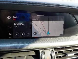 ALFA ROMEO Stelvio usata, con Vetri oscurati