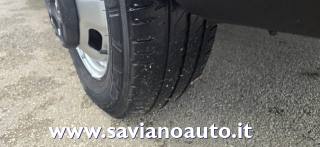 IVECO  usata 7