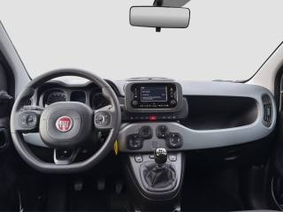 FIAT Panda usata 11