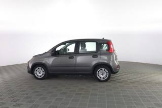 FIAT Panda usata 5