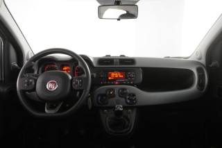 FIAT Panda usata 11