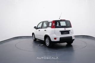 FIAT New Panda usata, con Alzacristalli elettrici