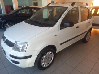FIAT Panda usata 13