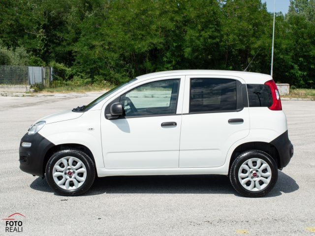 FIAT Panda usata 17