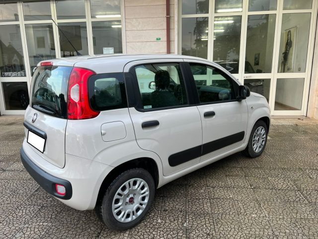 FIAT Panda usata 7