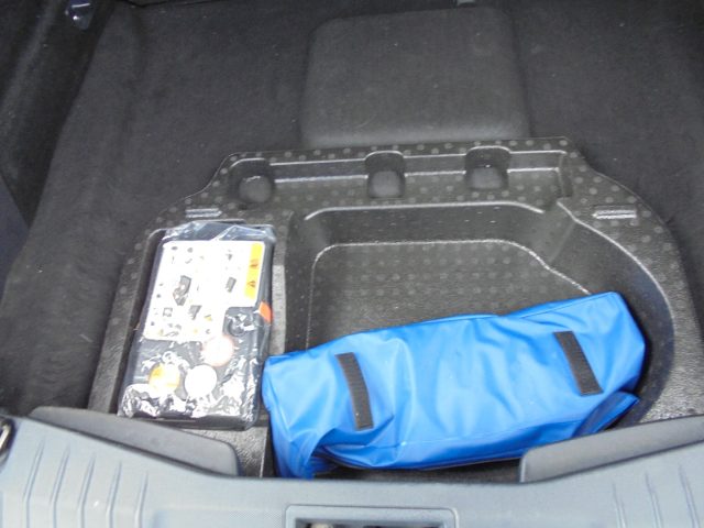 FORD Mustang Mach-E usata 47