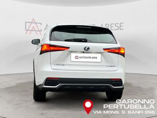 LEXUS NX 300 usata, con Alzacristalli elettrici